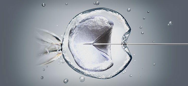 Webinar-June-Donor-101-EIS-Image-764x350-1